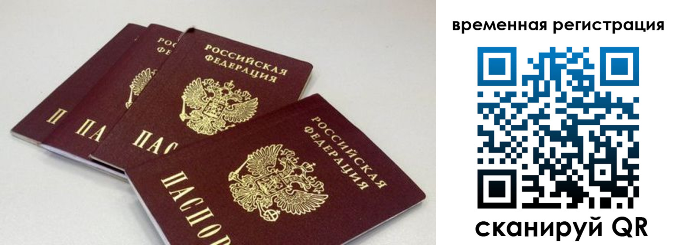 временная регистрация собственник в Александровске